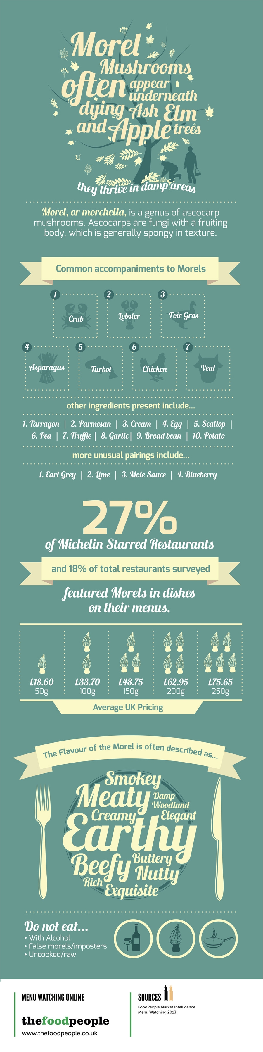 Infographic on Morel Mushrooms